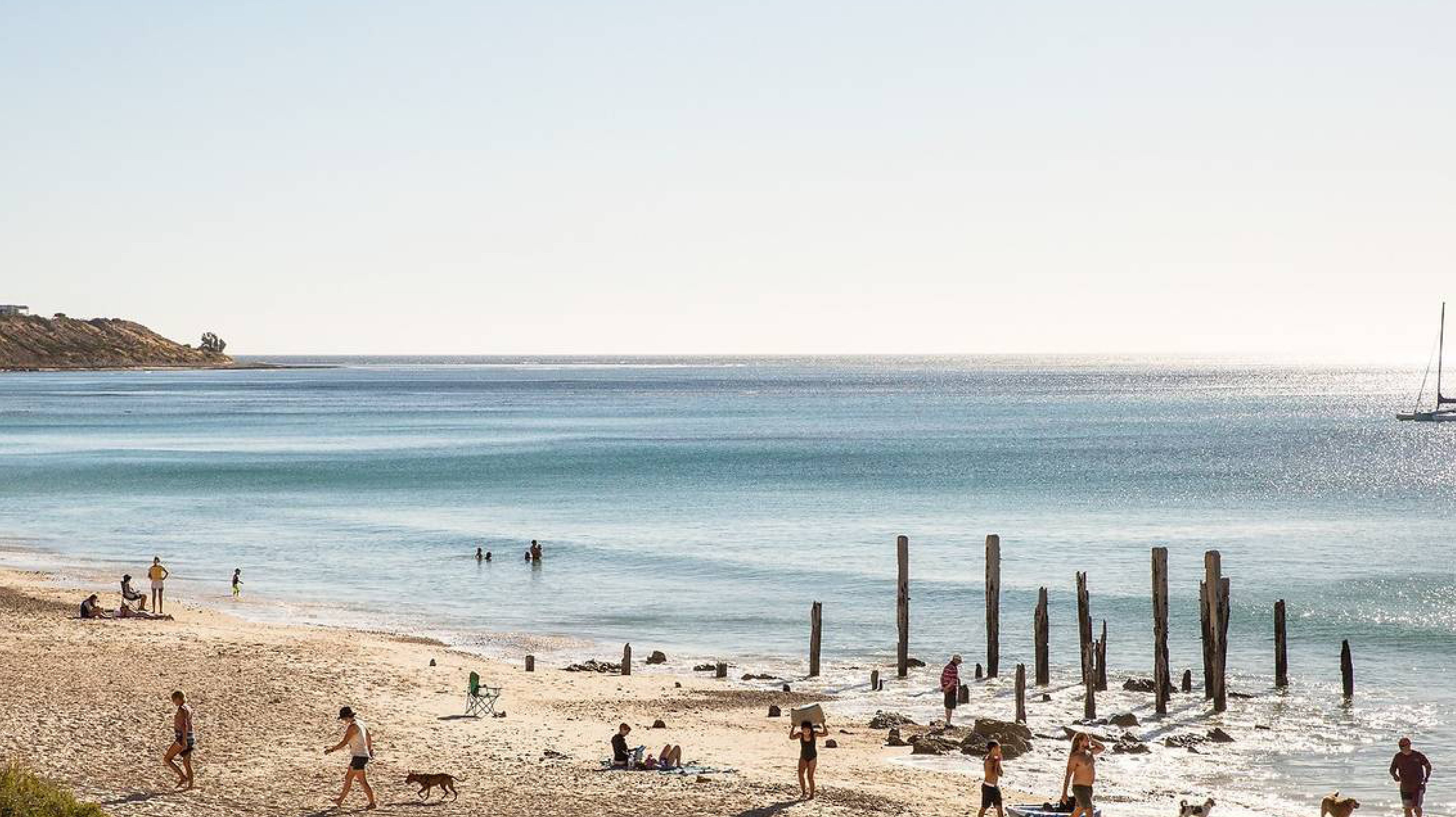 ortc Clothing Co's Swim Short Bible